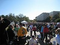 MCM 2011 235